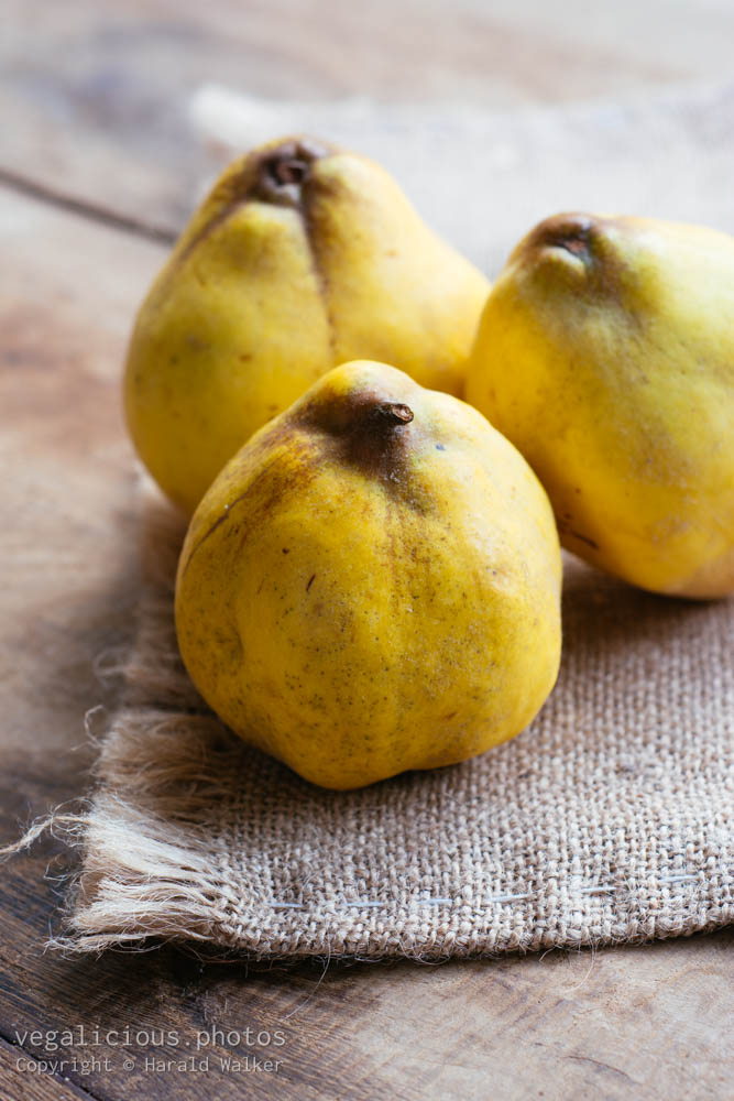 Stock photo of Pear Quince