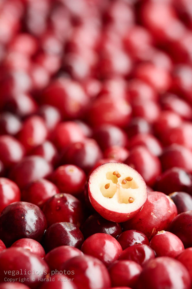 Stock photo of Fresh cranberries