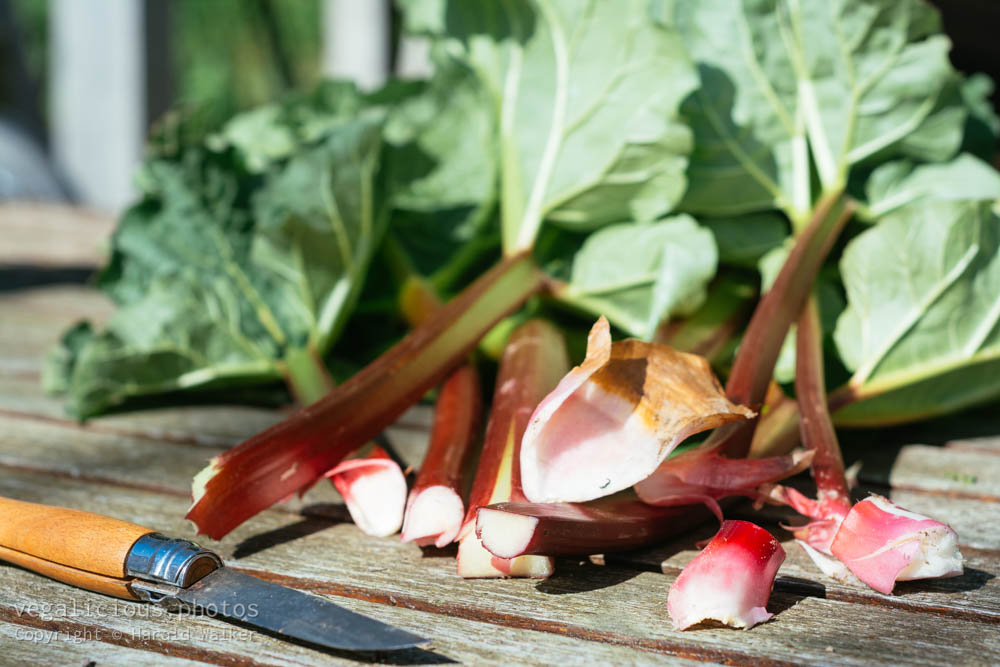 Stock photo of Fresh rhubarb
