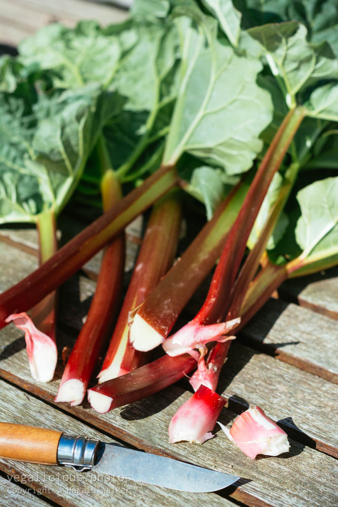 Stock photo of Fresh rhubarb