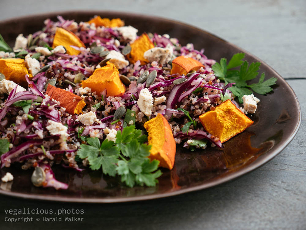 Stock photo of Red Cabbage and Quinoa Salad with Roasted Winter Squash and Vegan Feta
