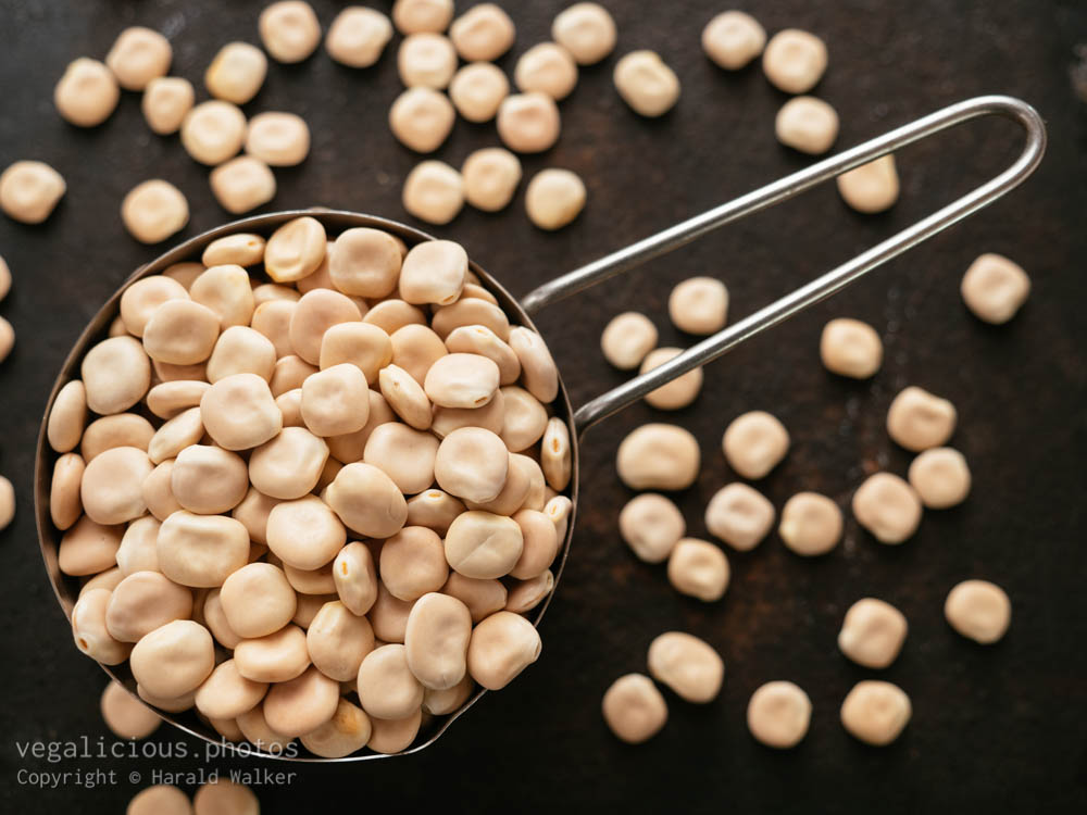 Stock photo of Lupin beans