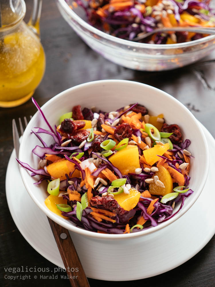 Stock photo of Fall Red Cabbage Slaw with Fruit