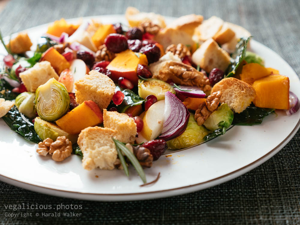 Stock photo of Abundant Harvest Panzanella Salad