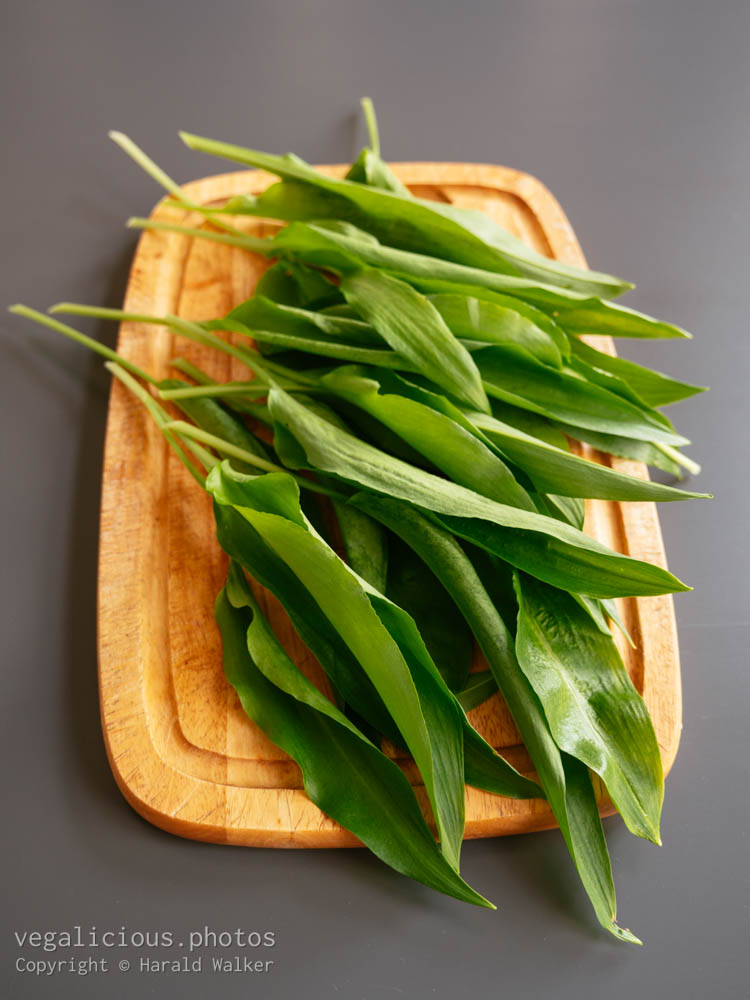 Stock photo of Fresh wild garlic