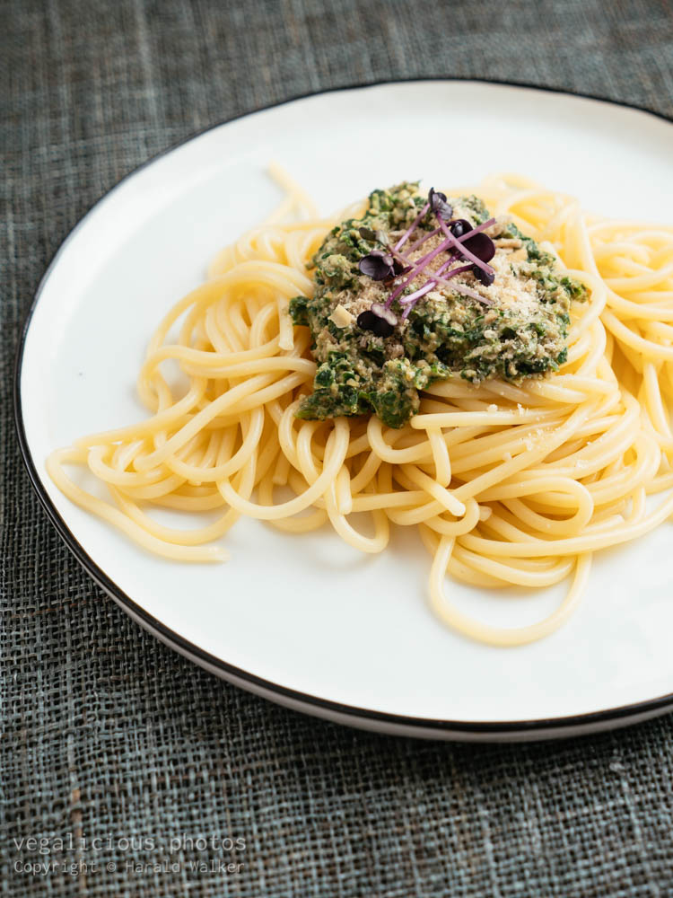 Stock photo of Siberian Kale Pesto Pasta