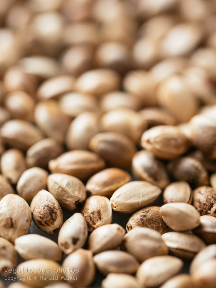 Stock photo of Whole hemp seeds