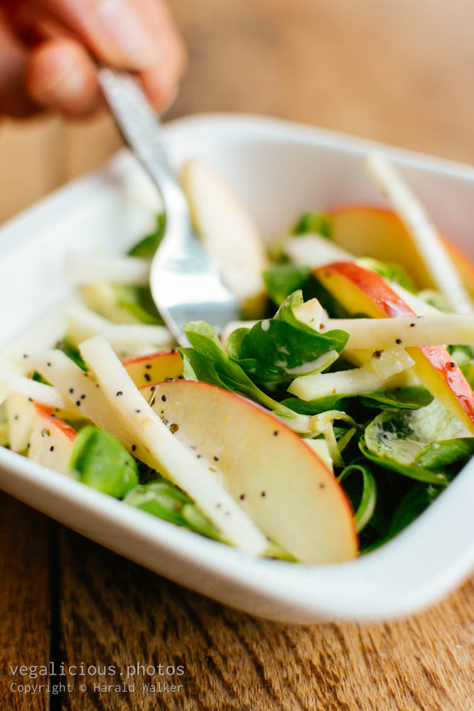 Stock photo of Field Salad, Kohlrabi and Apple Salad with Minty Poppy Seed Dressing