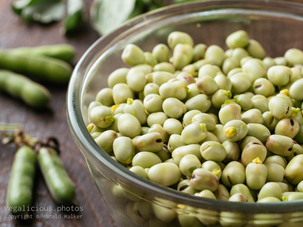 Stock photo of Fresh field beans