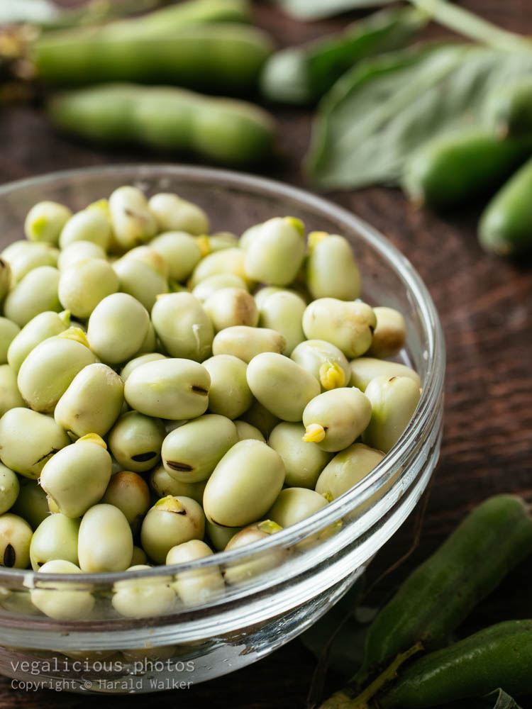 Stock photo of Fresh field beans