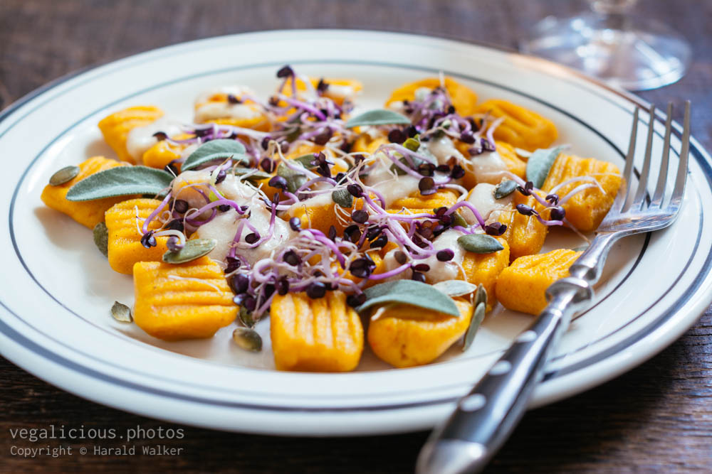 Stock photo of Winter Squash Gnocchi with Garlicy Sauce, Sprouts and Pumpkin Seeds