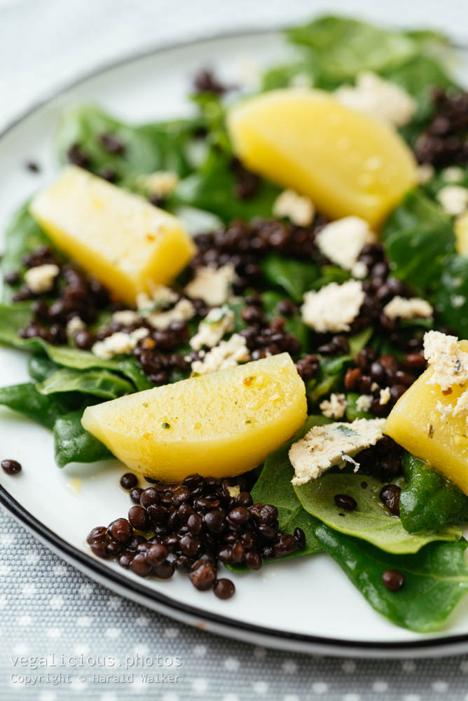 Stock photo of Lentil, Golden Beet and Spinach Salad