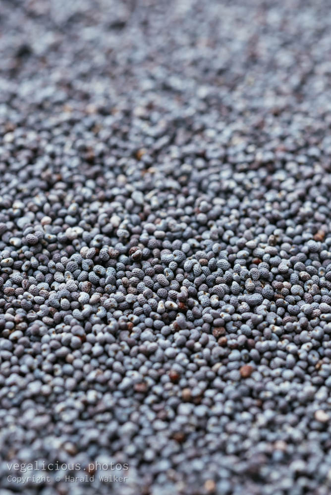 Stock photo of Poppy seeds