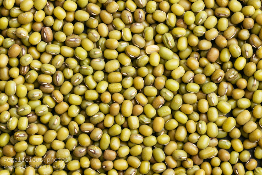 Stock photo of Mung beans