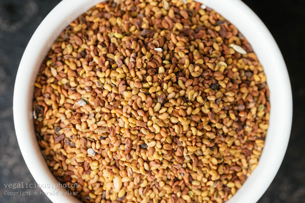 Stock photo of Alfalfa seeds