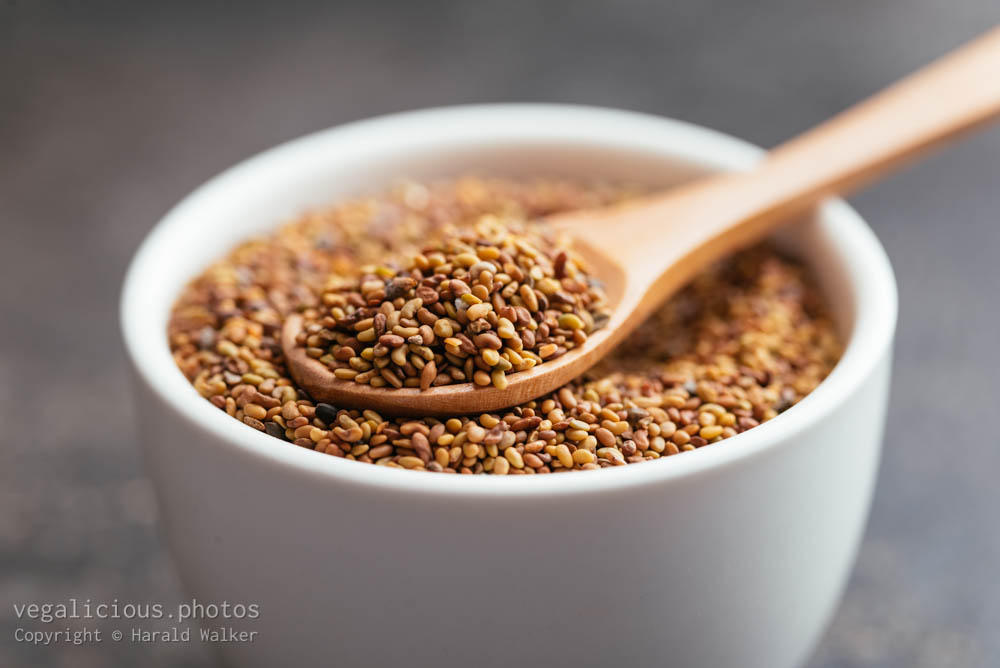 Stock photo of Alfalfa seeds
