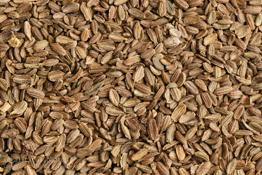 Stock photo of Carrot seeds