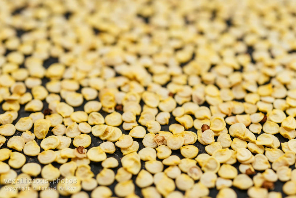 Stock photo of Bell pepper seeds