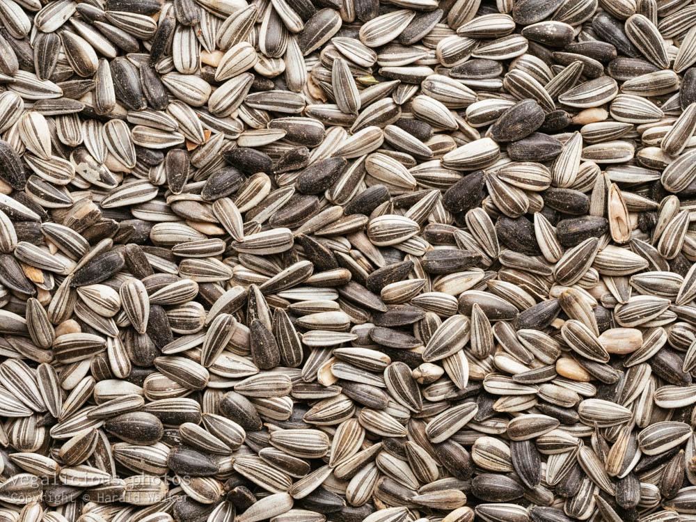 Stock photo of Sunflower seeds