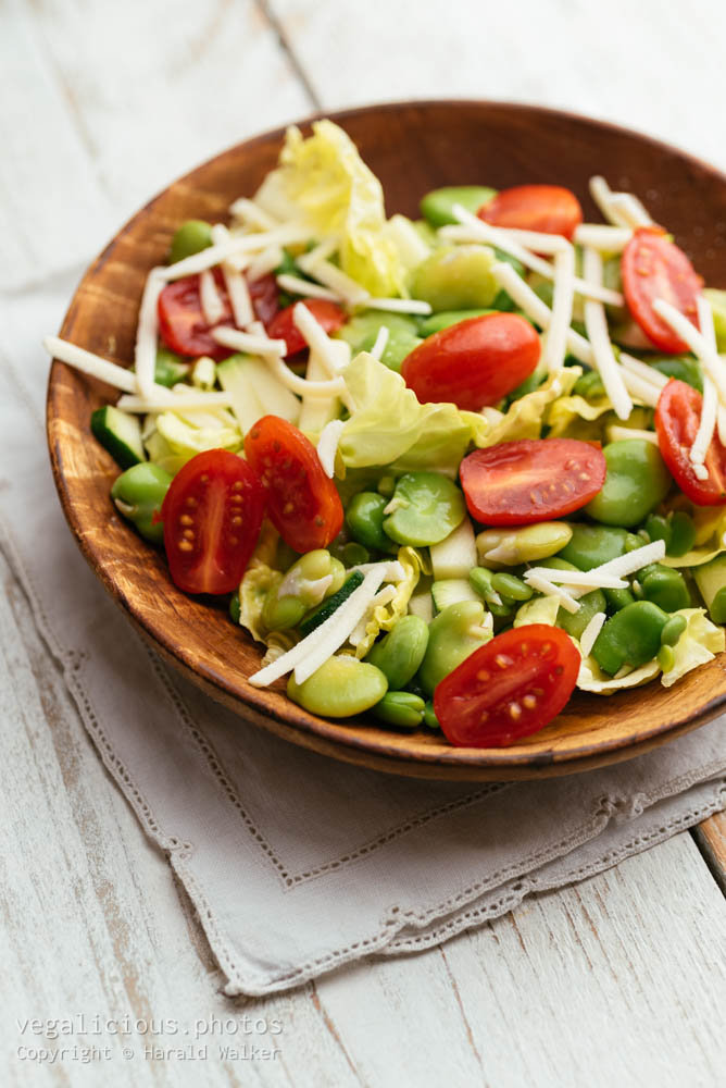 Stock photo of Fava Bean, Tomato Salad
