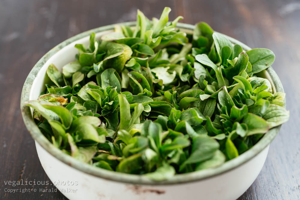 Stock photo of Organic Corn Salad