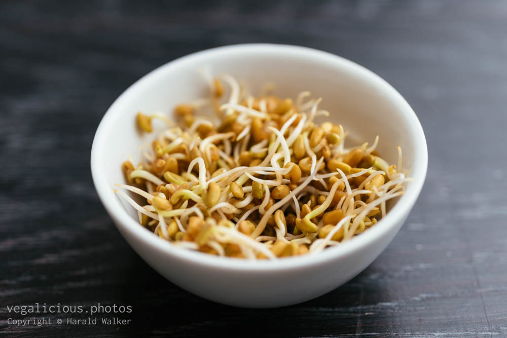Stock photo of Fenugreek Sprouts