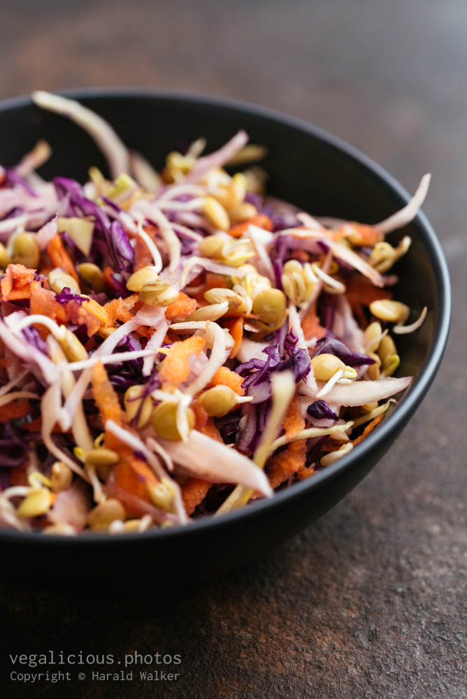 Stock photo of Asian Coleslaw with Lentil Sprouts