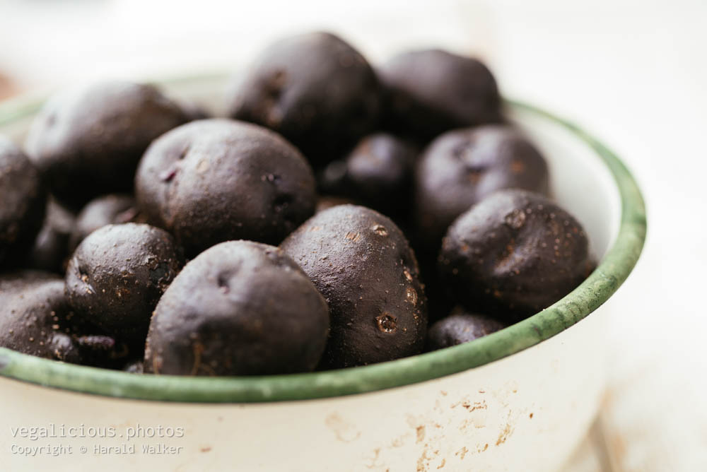 Stock photo of Purple potato Königsblau