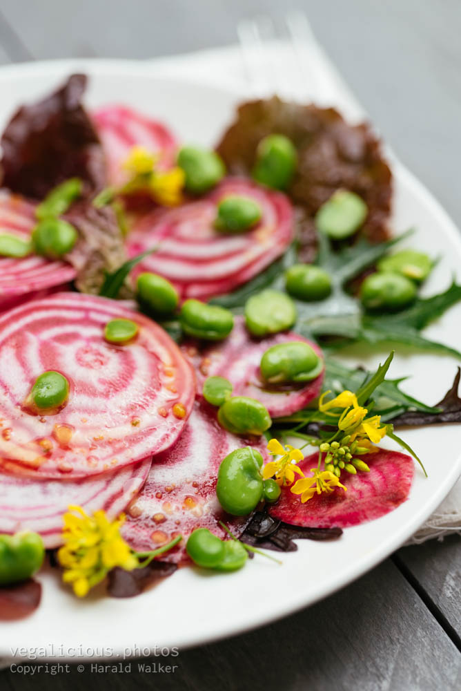 Stock photo of Chioggia Beet and Fava Bean Salad