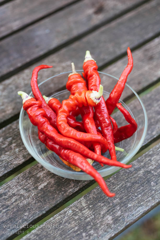Stock photo of Cayenne peppers