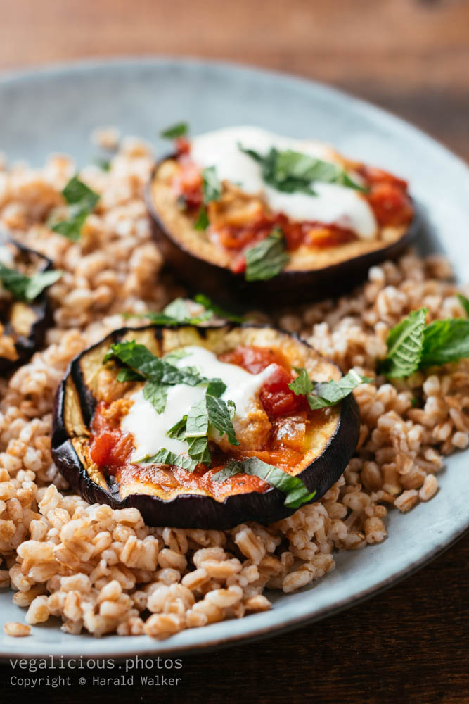 Stock photo of Grilled Eggplant on Farro with Tomato Sauce, Yogurt and Mint