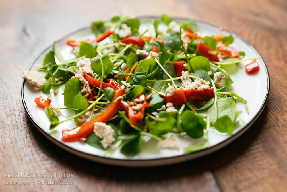 Stock photo of Purslane with Red Bell Pepper, Feta and Sunflower Seeds