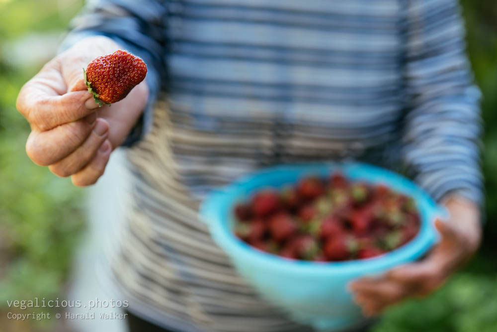Stock photo of Have a strawberry