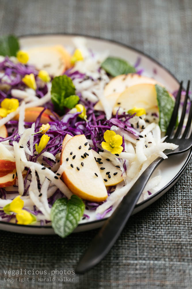 Stock photo of Apple, Kohlrabi and Red Cabbage Salad