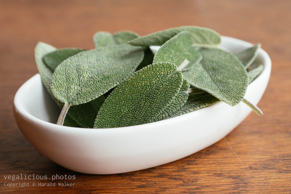 Stock photo of Fresh sage leaves