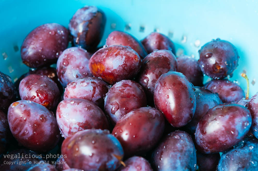 Stock photo of Plums in a colander