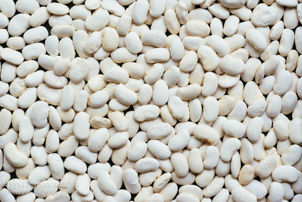 Stock photo of Large lima beans