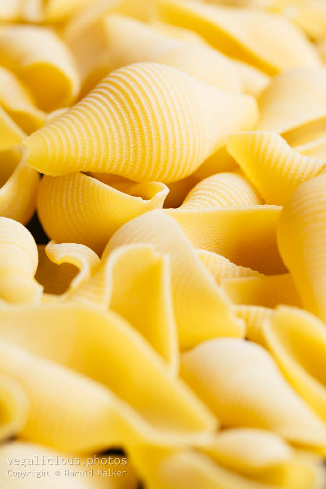 Stock photo of Giant pasta shells (Conchiglie)