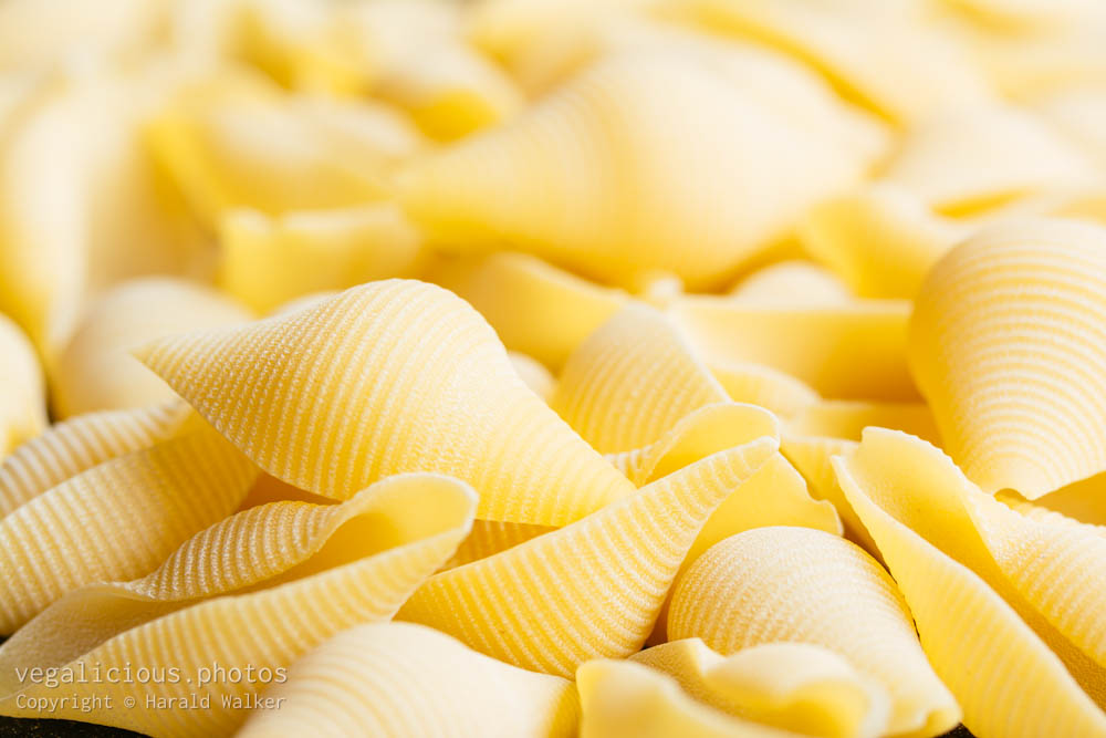 Stock photo of Giant pasta shells (Conchiglie)