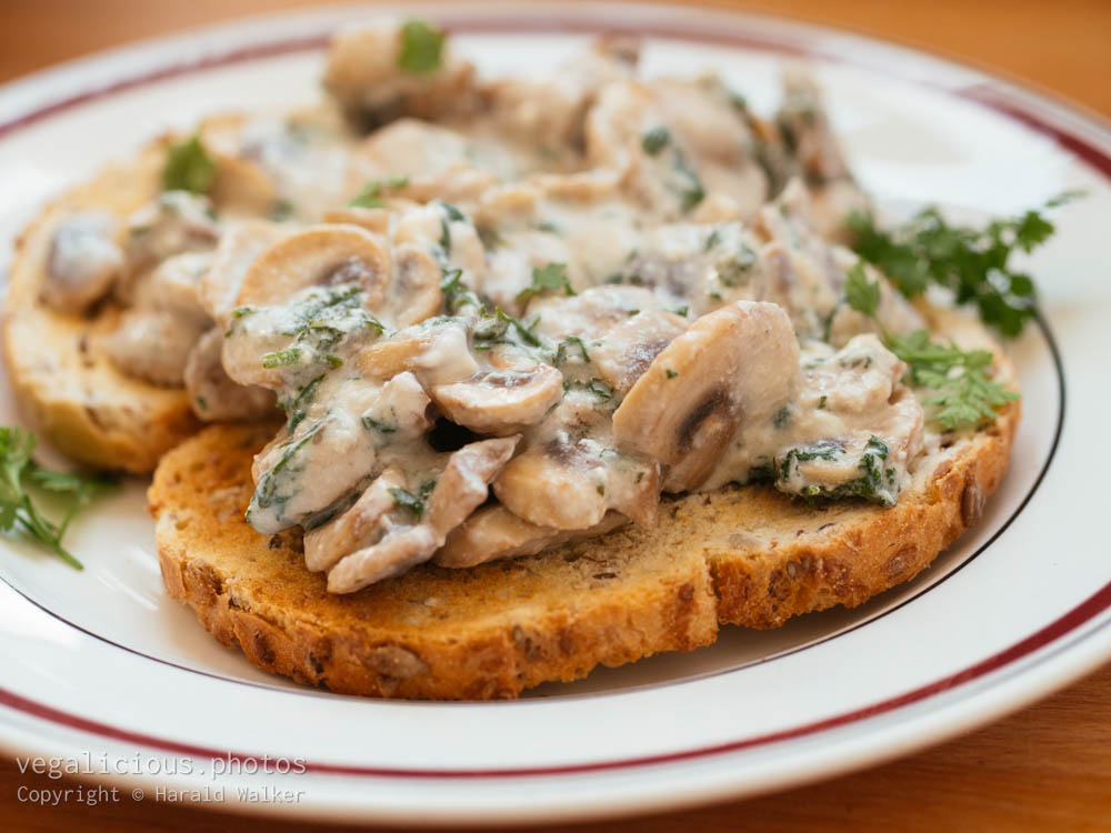 Stock photo of Creamy Mushrooms on Toast with Chervil