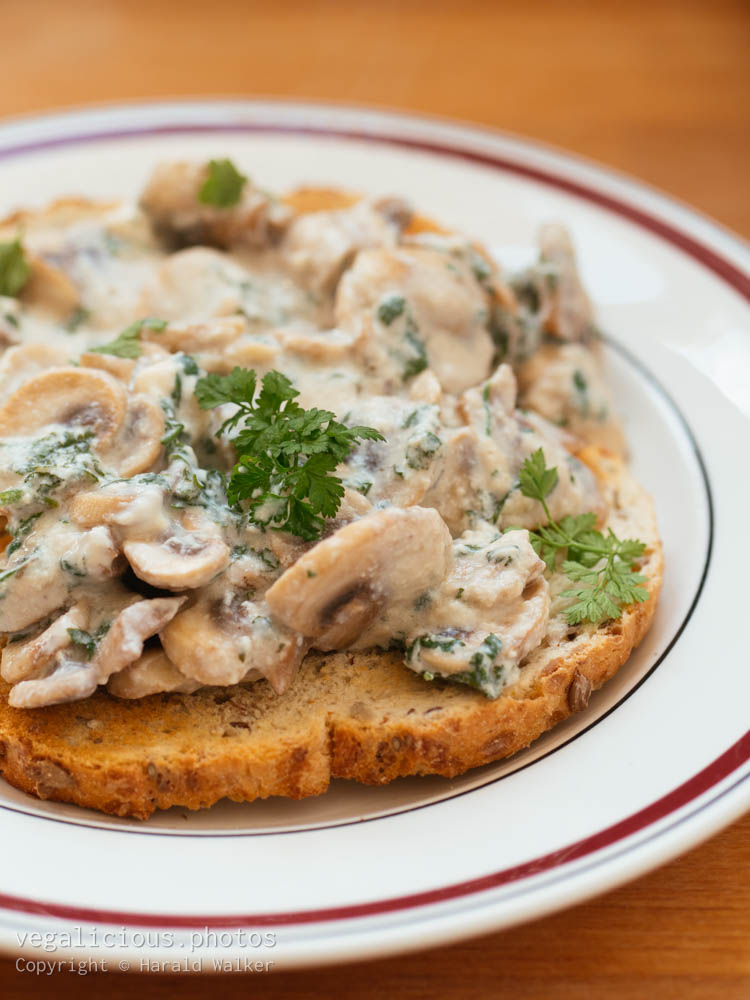 Stock photo of Creamy Mushrooms on Toast with Chervil