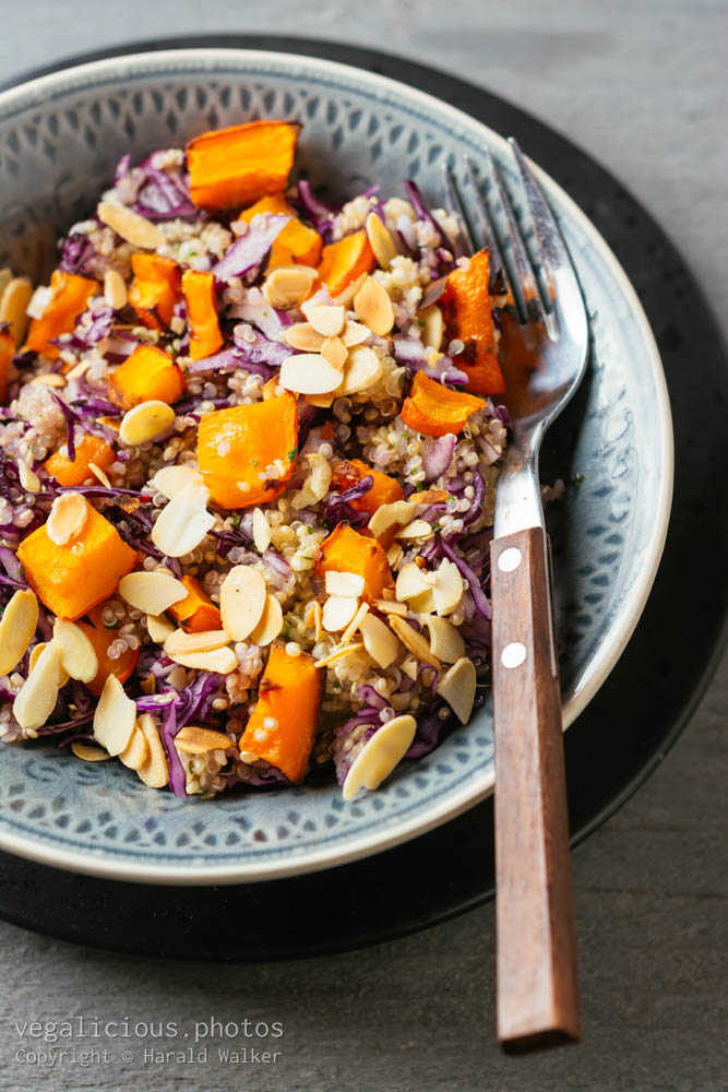 Stock photo of Warm Quinoa Salad with Red Cabbage and Squash