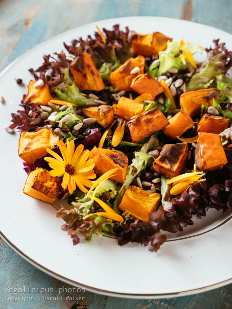 Stock photo of Warm Roasted Pumpkin and Lentil Salad