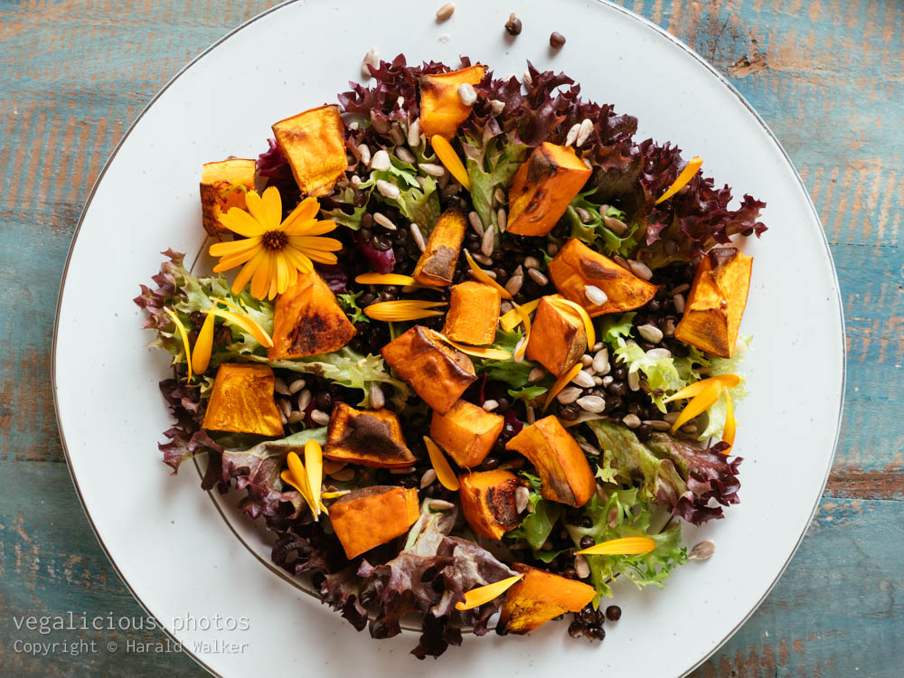Stock photo of Warm Roasted Pumpkin and Lentil Salad