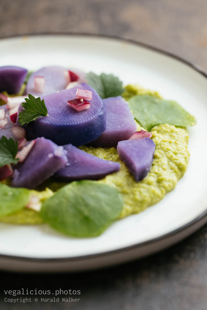 Stock photo of Purple Potato Salad on Pea Puree