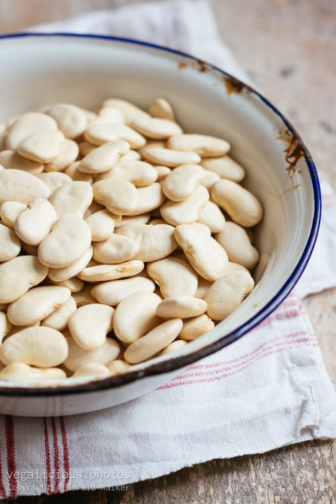 Stock photo of White beans