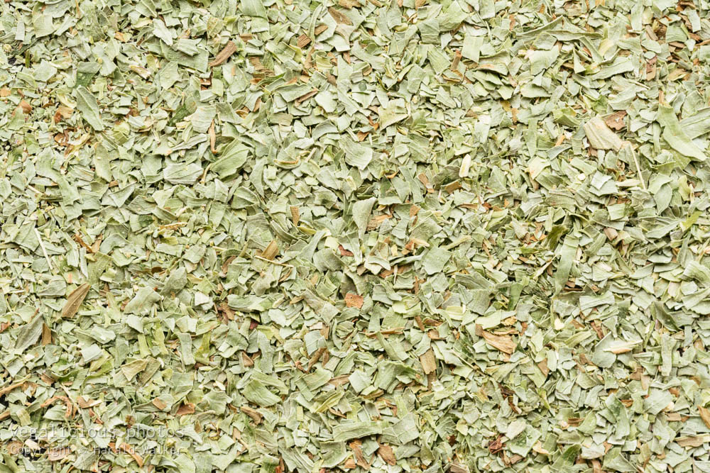 Stock photo of Tarragon (Artemisia dracunculus)