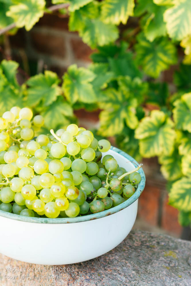 Stock photo of Fresh grapes