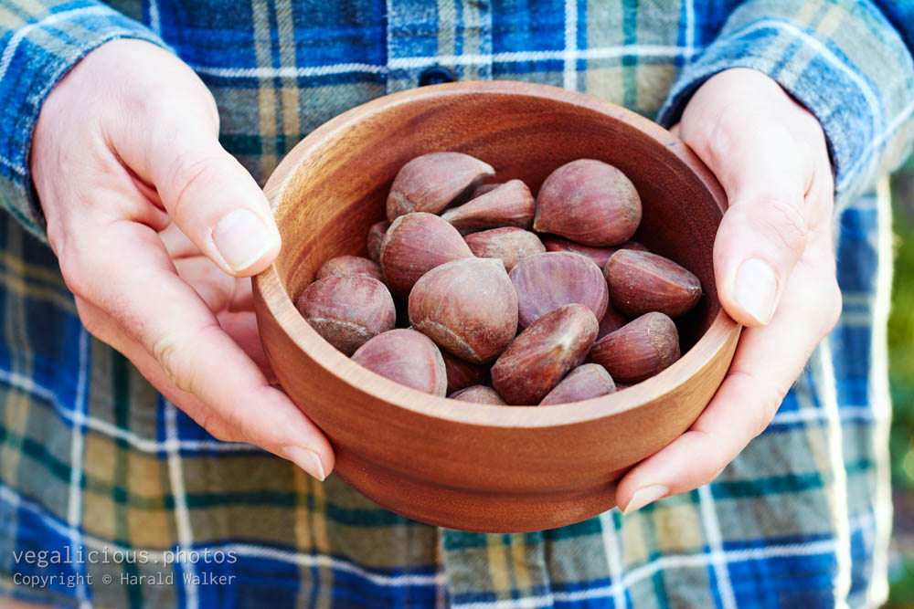 Stock photo of Bowl of chestnuts