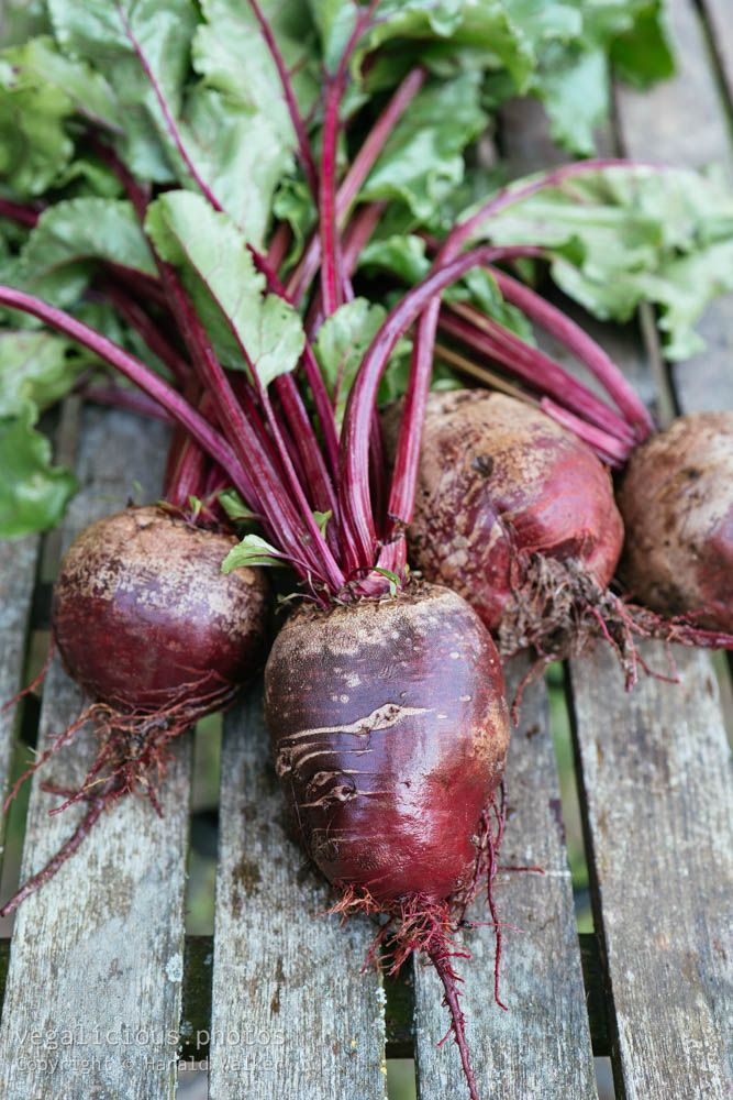 Stock photo of Fresh beetroots